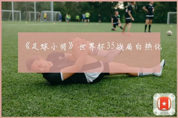 《足球小将》世界杯35战局白热化